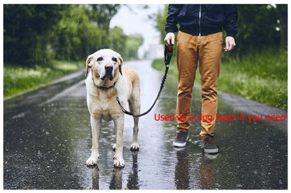 Adjustable Dog Harness and Car Seat Belt for Pets